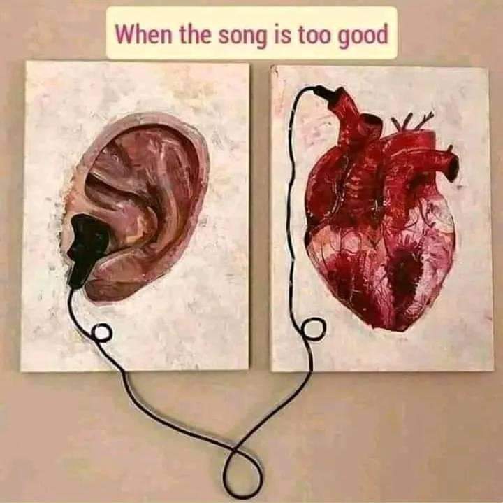 Gel (@stfugeel) on Twitter photo 