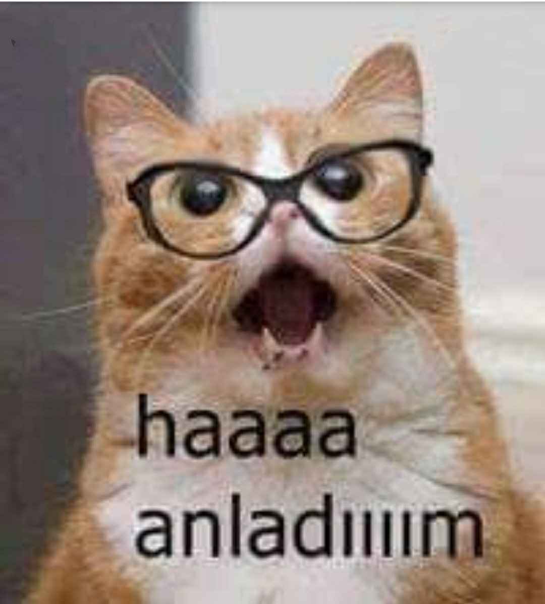 bunomen4's tweet photo. #okullaraçılırken öğretmen ilk konuyu anlatıyordur #eylül https://t.co/oUdNODaoZl