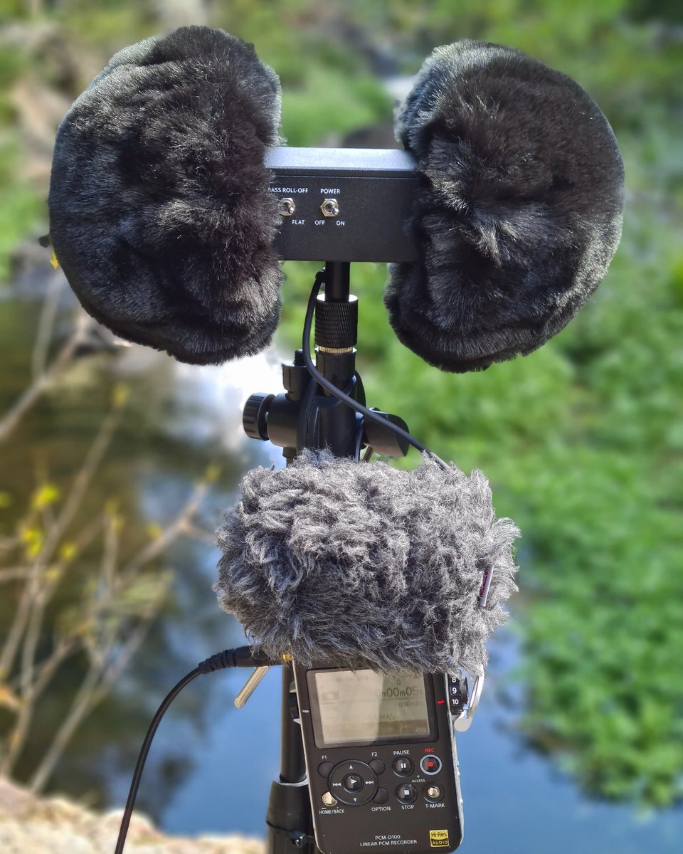 zap_splat's tweet photo. Recording nature in Binaural #indiedev #filmmaking #filmmakers #game audio #gamesound #soundeffects #zapsplat https://t.co/uFioZDwn91