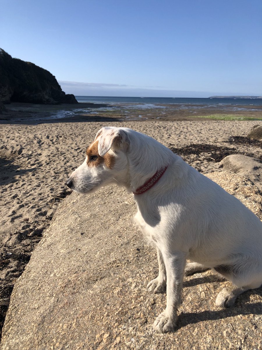 Dawn French 💙🔴🏳️‍🌈🇺🇦🇵🇸 tweet media