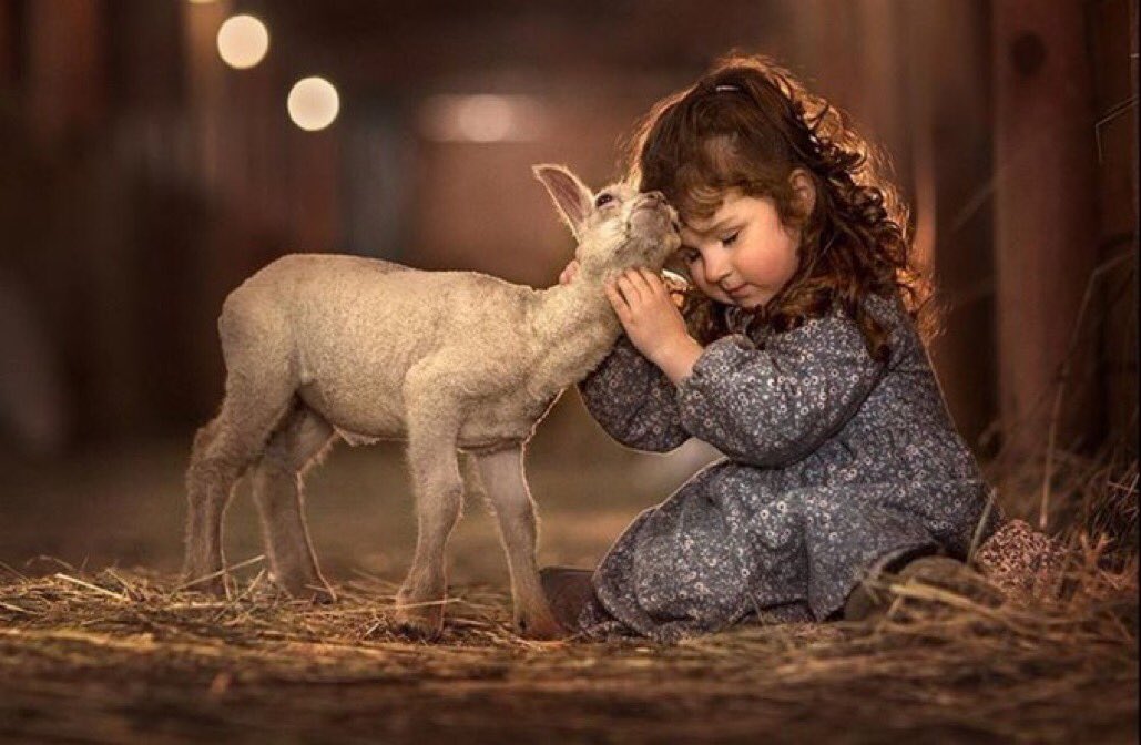 j_linmar's tweet photo. Don’t feel bad for knowing you deserve more. #linmar #September1st #September #InspirationalQuotes #quotes #wednesdaythought #JoyTrain https://t.co/txoVIvw4KD