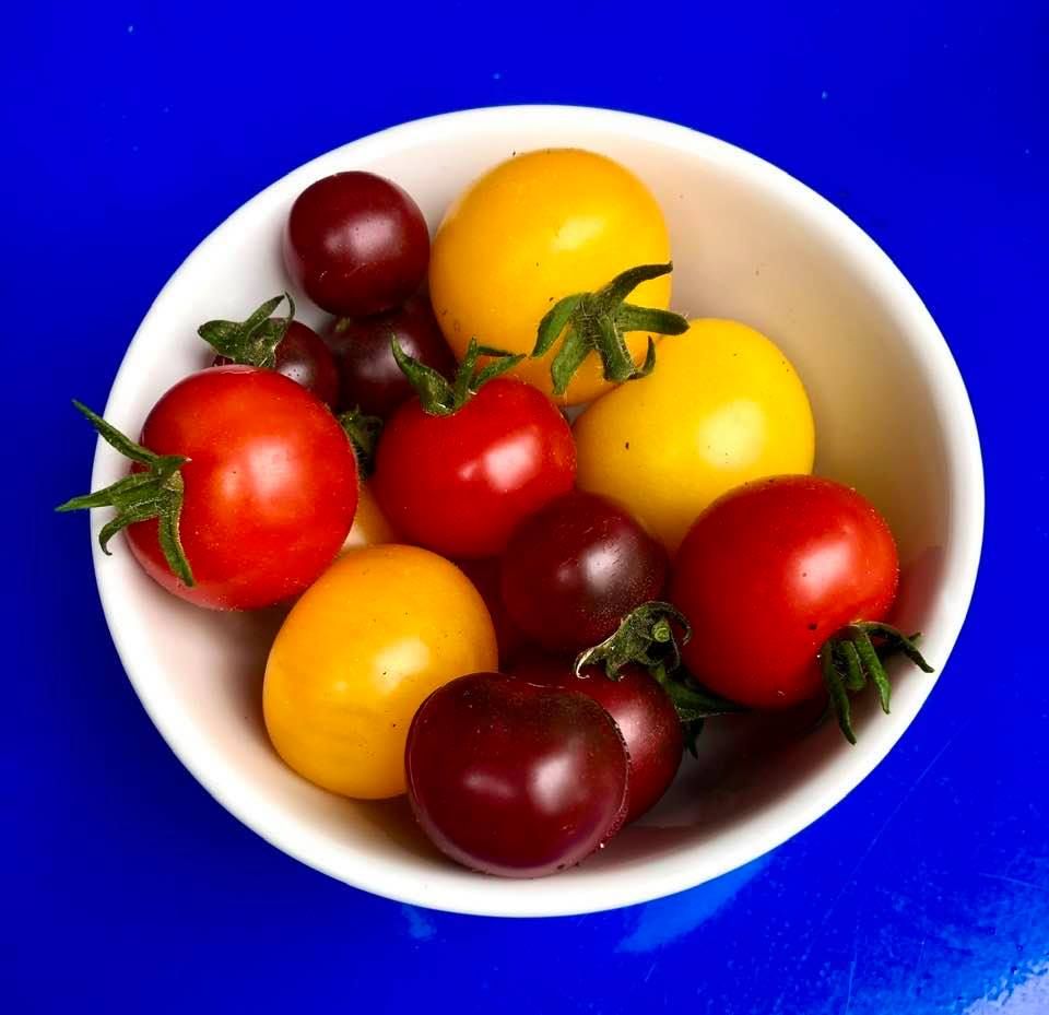 Tomato variety Rosella with dark purple skin is very tasty eaten straight from the vine with home grown lettuce . You can taste it in our Roasted tomato soup and fresh salads at our Kitchen café. Open 10am-4pm (last entry 3.30pm) Wednesday -Sunday until the end September.  💚🌱