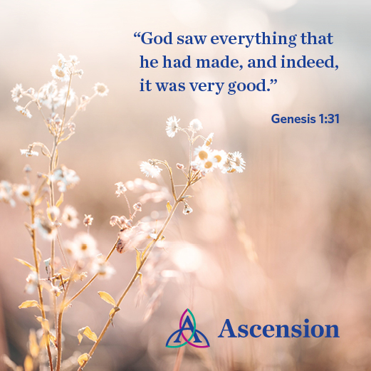 Ascension Sacred Heart (@shhpens) on Twitter photo On this World Day of Prayer for the Care of Creation, let us reflect and focus our efforts on protecting God’s handiwork. May we use this special day to renew our commitment to each other and to a better world. On this World Day of Prayer for the Care of Creation, let us reflect and focus our efforts on protecting God’s handiwork. May we use this special day to renew our commitment to each other and to a better world.