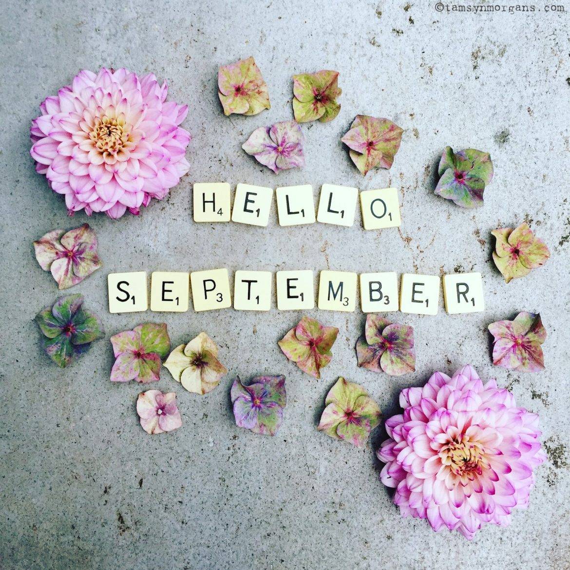 MuscleCalm's tweet image. 💮Well, hello there September💮

🔹Cooler Breezes🔹Cozy Campfires🔹Changing Leaves🔹

🍃What's your favorite aspect of September?🍂

▫️

▫️

▫️

▫️

▫️

▫️

▫️

🌊#CapeCod ⚓#WellnessWorks 🌊
#OldCapeApothecary #MuscleCalm #September