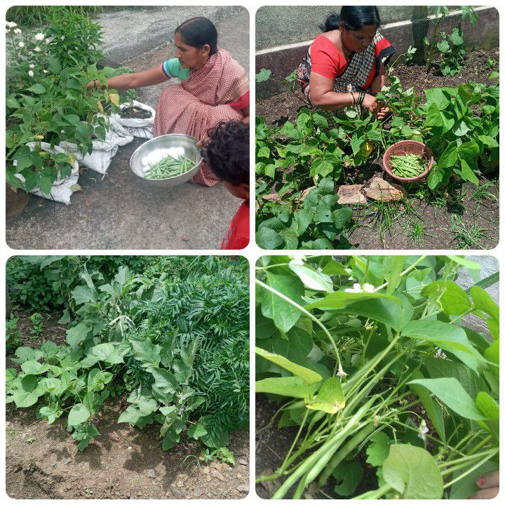 CDP_CNH's tweet photo. Our Anganwadi workers and helpers are enhancing the cultivation of locally available organic fruits and vegetables in their Nutri-gardens at Anganawadi centers under #POSHANAbhiyaan

#Karnataka
#SahiPoshanDeshRoshan https://t.co/cLPkaXmAse