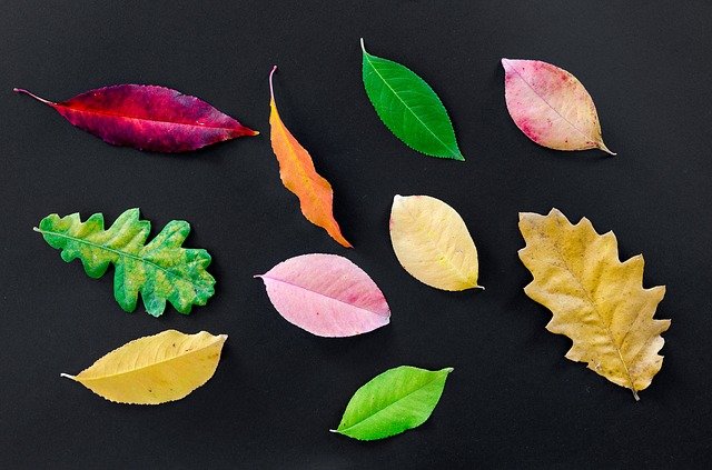 nstudiosfc's tweet photo. Welcome September! There are so many great things about fall in New England like #pumpkinspice pumpkin everything, changing  🍁  #Leaf , sweater weather, and fresh NSFC classes!  #pumpkinspice https://t.co/zmmZVOeMvs