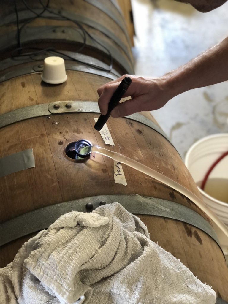 Fading Away #2 going into the brite tank for bottling! Same as before but the barrel is aged so the beer is better conditioned. We’re very excited about this batch!

#wednesdaythought #WednesdayMotivation #craftbeer #beer #brewery