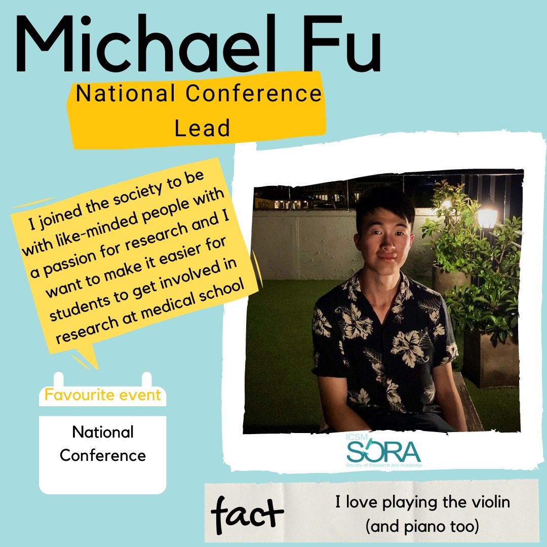 ICSM SORA tweet media