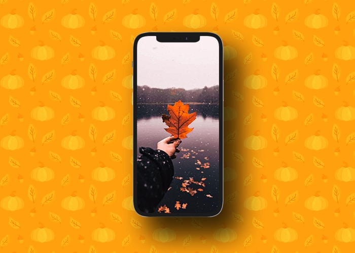 igeeksblog's tweet photo. 15 HD Fall wallpapers for iPhone (Free to download) https://t.co/WcBnmmvU7B
#FallWallpapers #iPhoneWallpapers https://t.co/CE4KYxYg5s