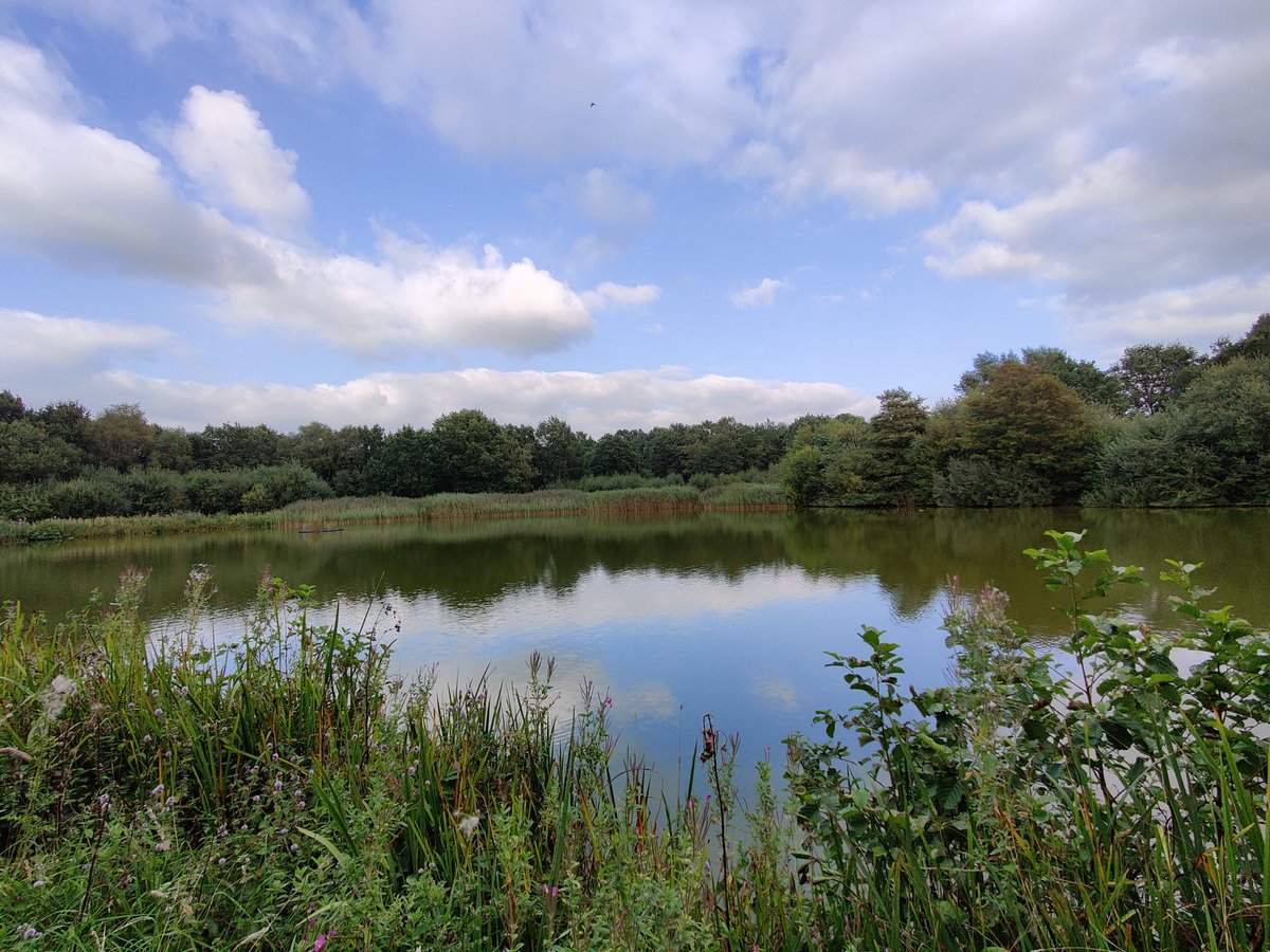 LindowCommon's tweet photo. Meteorological Autumn on #LindowCommon, #Wilmslow. Where did Summer go?

The grey gloom finally gave way to some end of day sunshine. More of that please before Winter... https://t.co/PudL1eAlgW