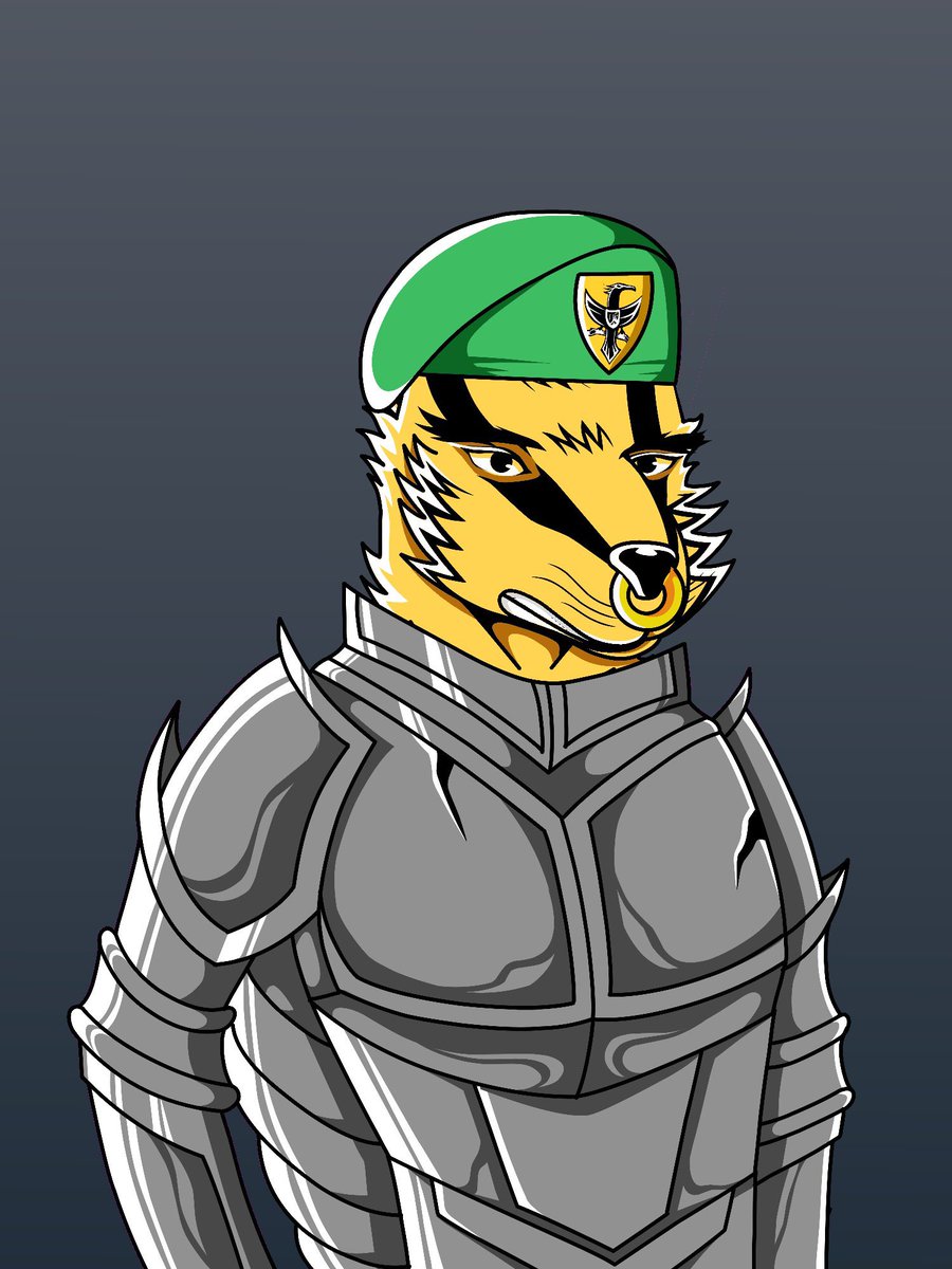 NFTShmoogy's tweet image. #KnightsOfSOL @BoldBadgers