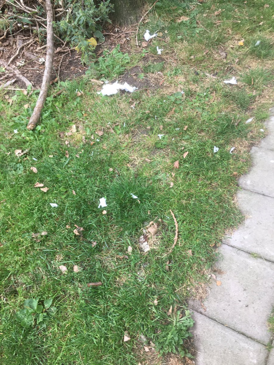 De zwerfvuil vermaler/verspreider is in opdracht van <a href="/Havensteder/">Havensteder</a> weer langs geweest in de tuin va Zernikeplaats 1-335