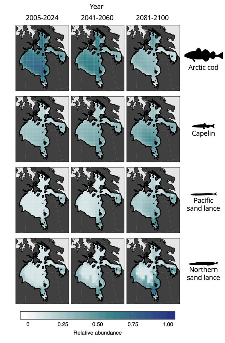 Paper: doi.org/10.1111/ele.13…

Awesome collaborators: @AugerMethe @trav_es_t @DrRashidSumaila @DJYurkowski @coru_ubc @UBCoceans @DFO_Central @oceanleaders 

And some maps: