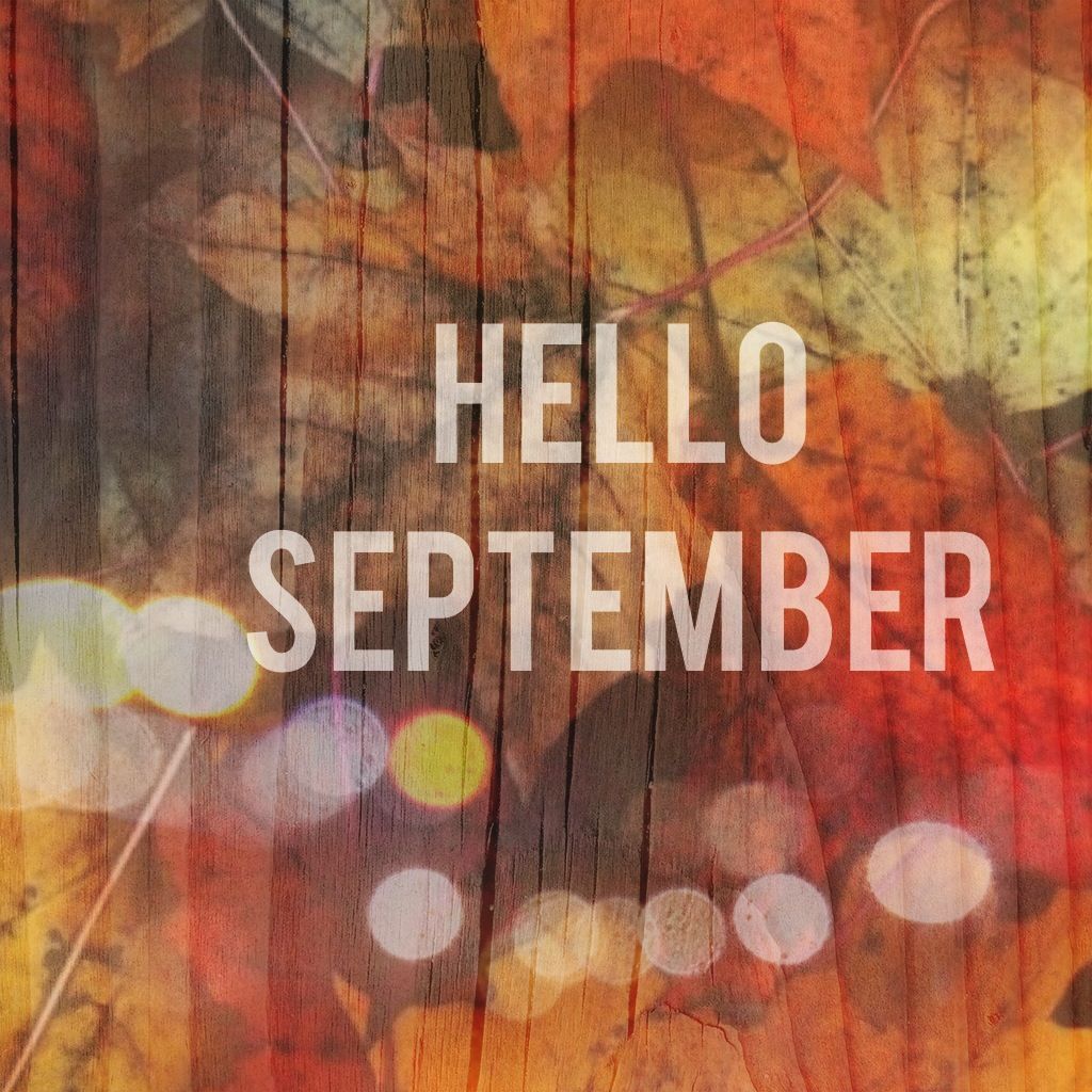 BethsCPHD's tweet photo. Hello September. Welcome to the unofficial start of Fall!
#Fall2021  #HelloSeptember  #WelcomeSeptember  #ilovefall #pumpkinspice  #newmonth  #newgoals #September2021 https://t.co/QqIk3jJkYq