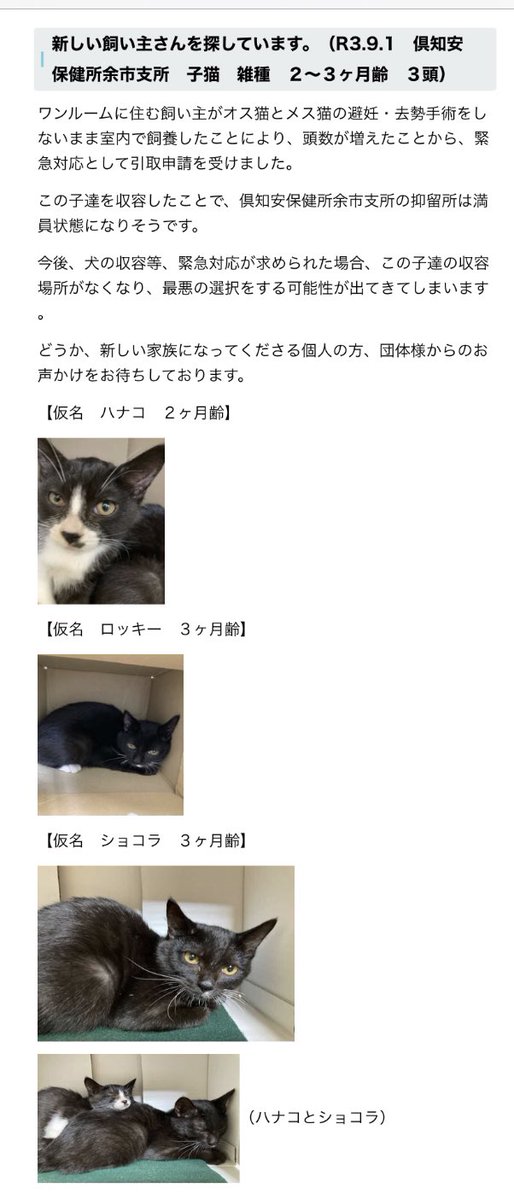 E7 8c Ab 81 Ae E9 87 8c E8 A6 E5 8b 9f E9 9b 86 Twitter Search