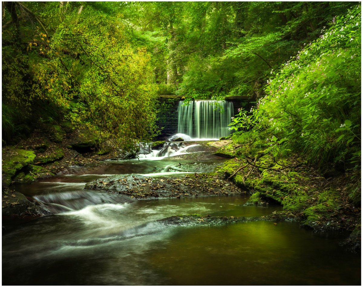 DaveKitsonPhoto's tweet photo. A couple more shots from my recent Waterfall trip
#waterfalls #passion https://t.co/vYgIq3qaIY