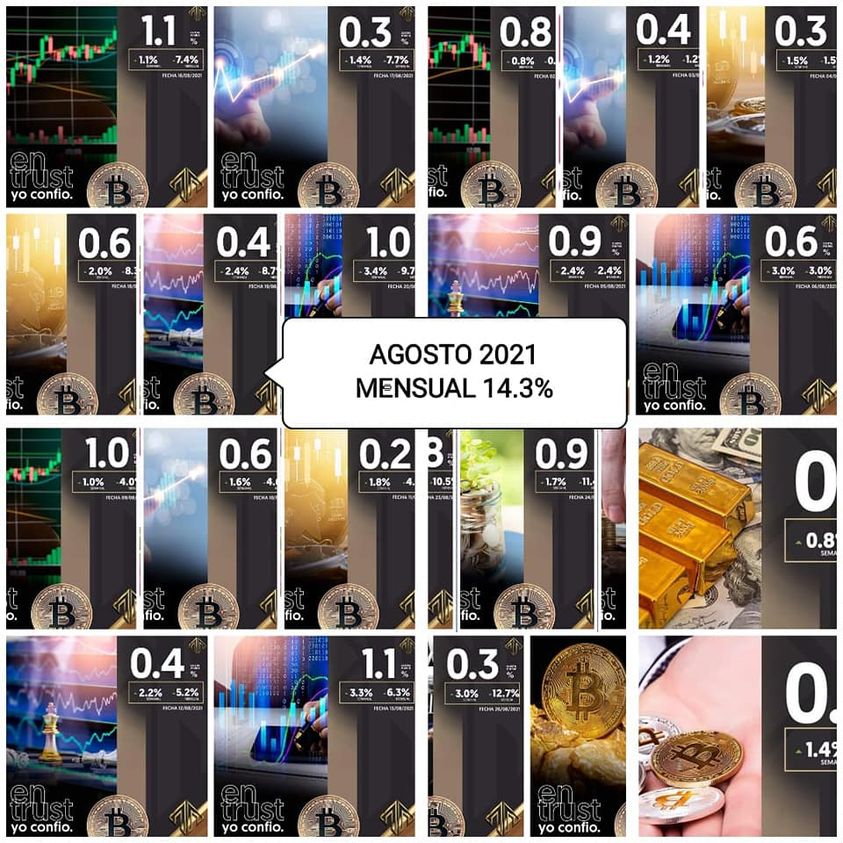 Opencode8's tweet image. Estos rendimientos son mes tras mes a base de tu inversión o tu activación. Mejor que tener el dinero en el banco sin que te produzca nada es no crees ?
#bitcoin #dinero #criptomonedas #monedasdigitales #negocio #agosto #ganancias