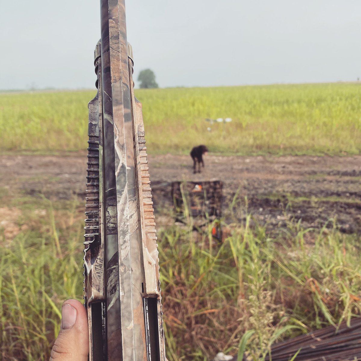 redfishandout's tweet image. Working hard today!
#texashunting #huntinglife #centraltexashunting #dovehunt #huntingphotography #fishingguides #mymorning #huntingworldwide #shotgunsports #redemptionalfishingandoutdoors