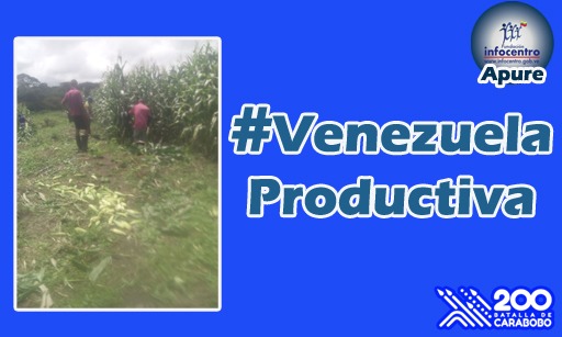 yustyivan's tweet photo. #VenezuelaProductiva El Presidente @NicolasMaduro construye una nueva economía post petrolera y post capitalista con la unión de todas y todos. Vamos a producir para satisfacer las necesidades nacionales para exportar desde la industria el campo y el comercio. https://t.co/DNdcHcnIYn