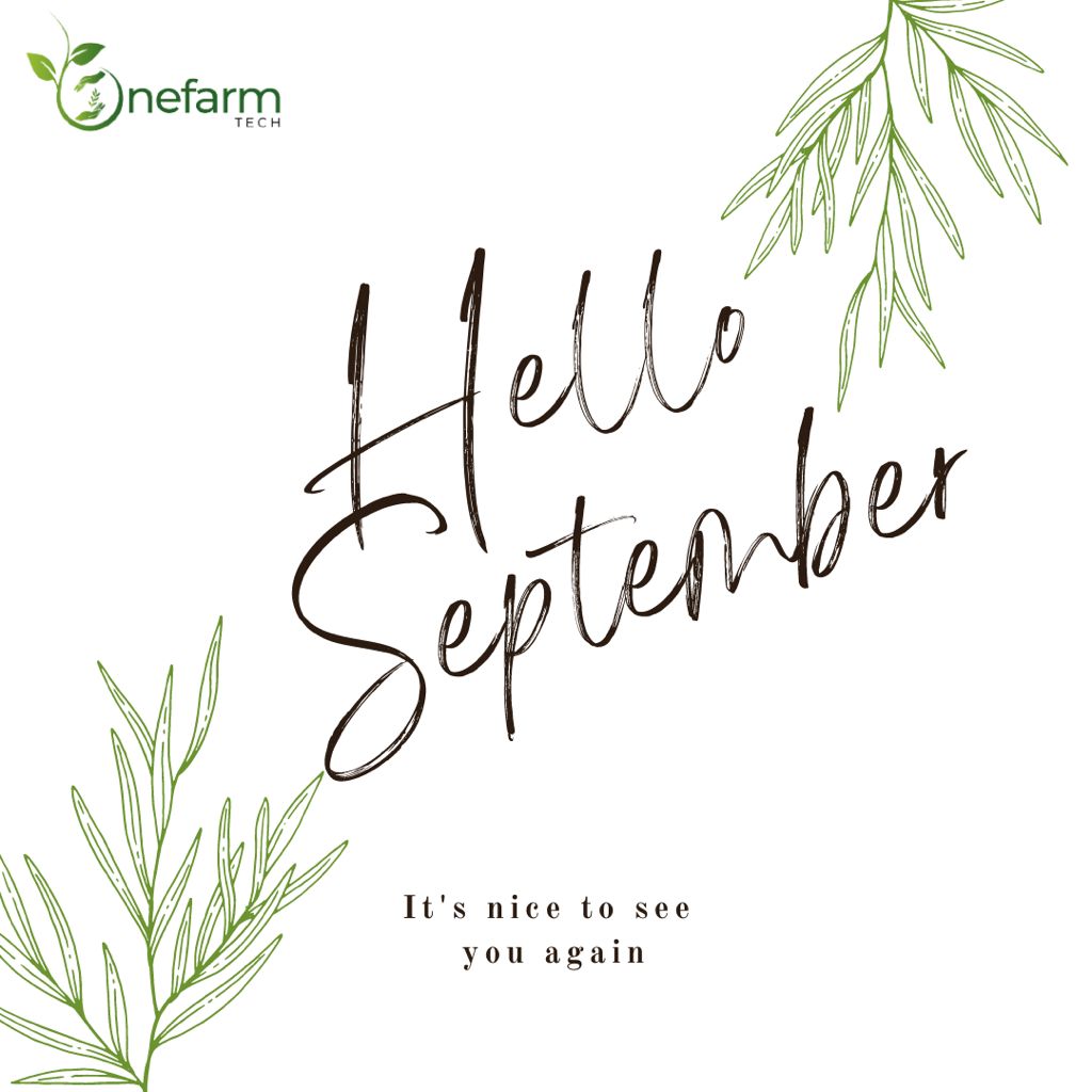 OneFarmTech's tweet photo. Happy new month people... who is ready for our September deals!!! Visit https://t.co/sKYYvo3RF7 https://t.co/V3dsl8yt8I