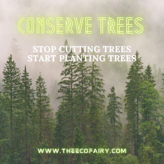MyEcoFairy's tweet image. If you’re looking for tips on how you can conserve trees, here's the list of easy things you can do at home, in the office or on the go.
👇👇👇
theecofairy.com/blogs/news/way…

Do you have any tree saving tips that you would like to share?

#conservetrees #preservethefuture #nature