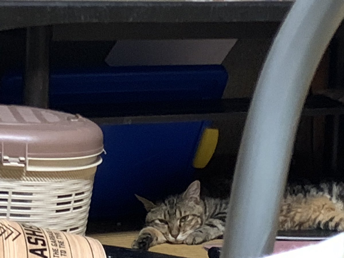 Hiromi Goubaraグラビューハート Grabeauheart Twitter