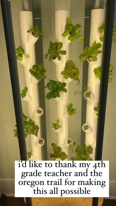 I&rsquo;m homesteading. https://t.co/alsgfUsTHe<a href="/tag/starlink"class="tags"><span>#starlink</span></a>