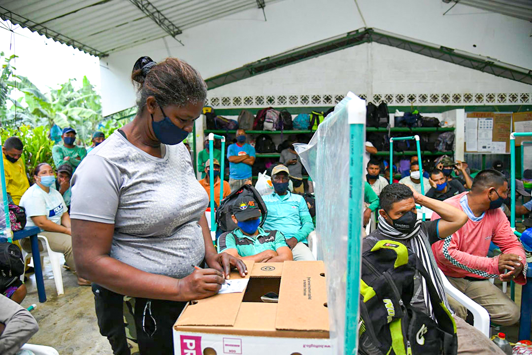 Last week Sintrainagro, the Colombian Union of Agricultural Industry Workers, reached an agreement with association <a href="/AuguraColombia/">Augura</a> that will see workers in the banana industry receive the highest pay increase negotiated in 2021 <a href="/FreshPlaza_com/">FreshPlaza</a> <a href="/BananaLink/">Banana Link</a> tinyurl.com/p536hjw