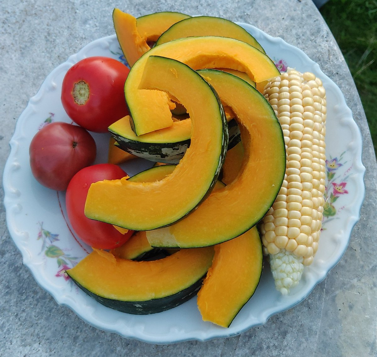 Gardening without pesticides can still provide a nice harvest. (I am so glad I don't have to eat beans anymore)
#SustainableGarden #gardening