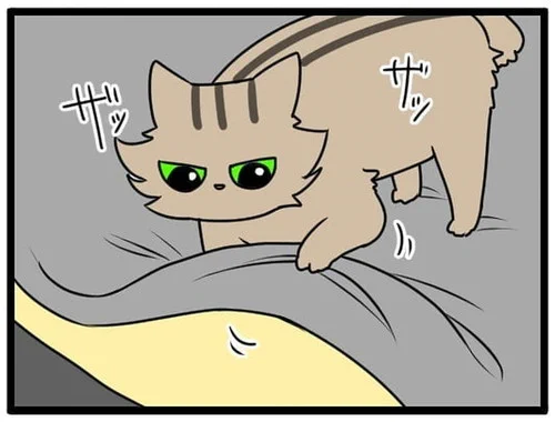 ベッドのシーツをかく愛猫、「おしっこでは」と警戒していたら…… 思わぬしぐさに胸キュンが止まらない漫画 https://t.co/mf54BumbeH @itm_nlabより 