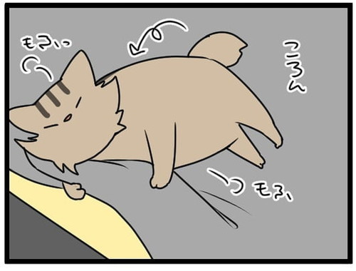 ベッドのシーツをかく愛猫、「おしっこでは」と警戒していたら…… 思わぬしぐさに胸キュンが止まらない漫画 https://t.co/mf54BumbeH @itm_nlabより 