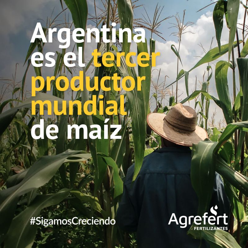 Sabías que👇
🌽 Somos el tercer productor mundial de maíz, detrás de Estados Unidos y Brasil?
🌽 Producimos el 18% del maíz mundial?
🌽 Nuestro principal comprador de maíz es Vietnam?
🌽 Este año se espera  producción récord de más de 54 M Tn y un rinde promedio de 80,4 qq/ha?