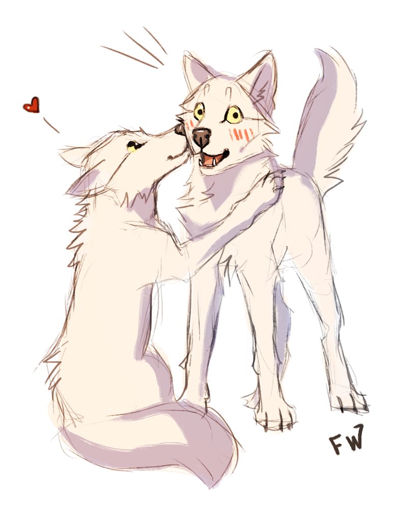 wolf love drawing