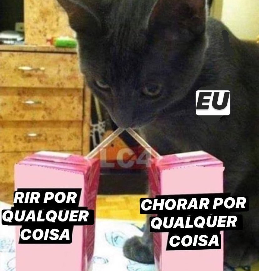 ClarissaYorke's tweet image. 