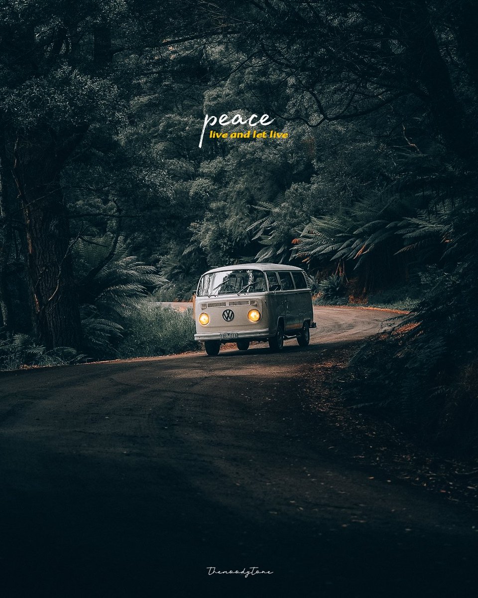 with_jessy's tweet photo. Moody forest
Follow @themoodytone
#moody #moodygrams #photography #nature #mood #portrait #photooftheday #love #instagood #ig #naturephotography #kerala #landscape #instagram #picoftheday #art #lightroom #photo #canon #moodyphotography #dark #photographer #model #themoodytone https://t.co/qteO5jIoi8