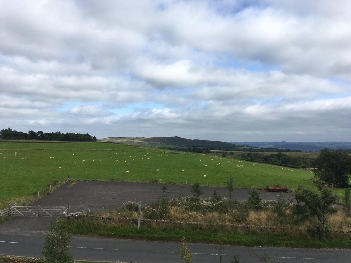 know research tweet media