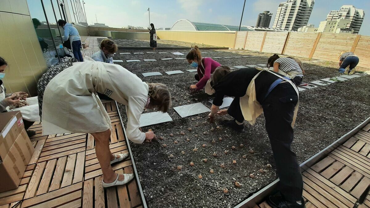 Val-de-Marne : ils font pousser un champ de safran sur le toit de Créteil-Soleil
➡️ l.leparisien.fr/kQSg
