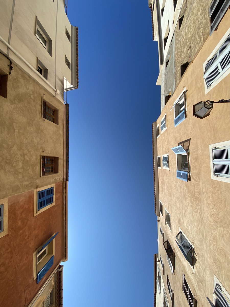 causualloop's tweet image. Free