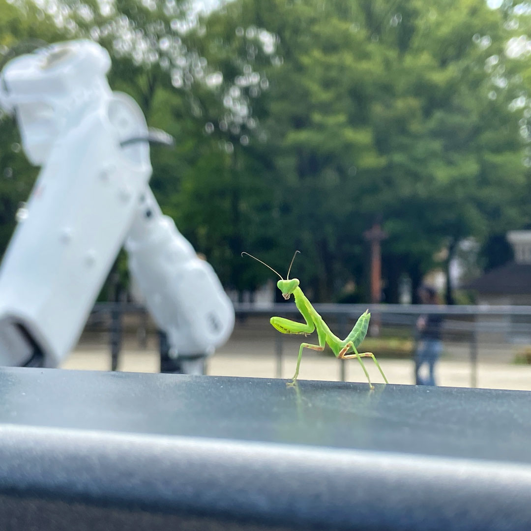 There’s 4 more days to catch #theconstantgardeners in Ueno Park, Tokyo. Thank you to everyone who has visited so far! 

@TTF_official_PR @jpBritishArts @TAITTowers @BrilliantStages
 #jasonbrugesstudio #ttf_special13 #TokyoTokyoFestivalスペシャル13 #Olympics2020 #Tokyo2020