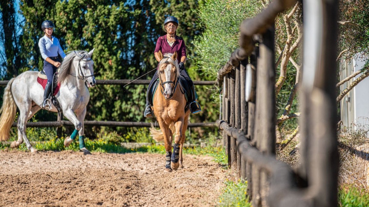 Ride in the middle of nature and learn the ropes around a ranch. 
On such a horseriding holiday, you'll learn how to drive cattle, swing the ropes, and hear stories from the ranchers.
Feel like a real cowboy on a #ranch vacation: bit.ly/35hXzAA
