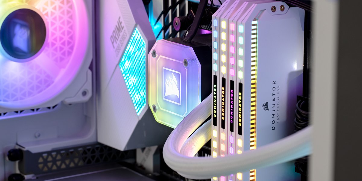 Corsair_BR's tweet photo. Sua dose diária de doçura! 🥰
#corsairbr #capellix https://t.co/yUodYW6rXx