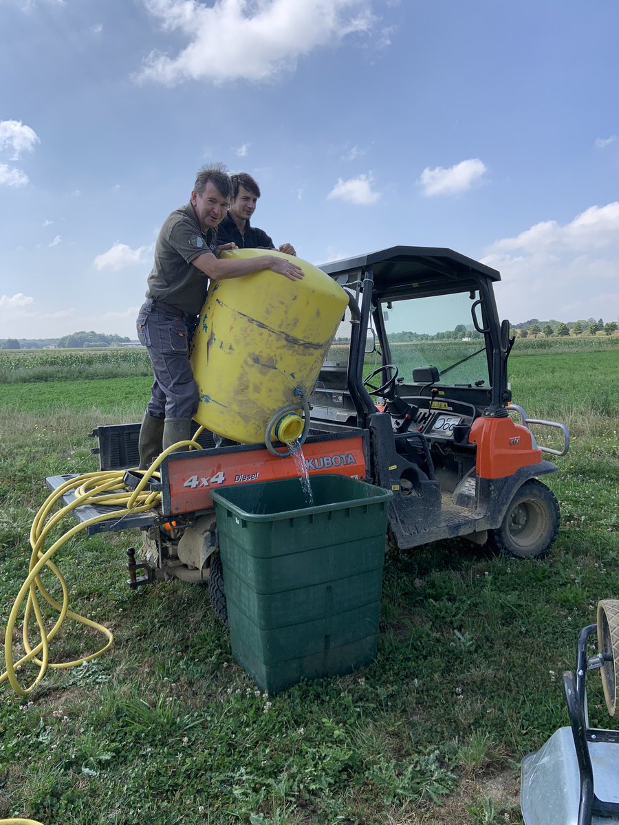 CornilleAmand's tweet image. Sampling for the anr project 🤟🤩🤩🤩and watering the edge of the wild apple orchard @PommierVerger😀😀😀! #research #multitasks @IdeevL @CNRSIdFSud @INRAE_IDF @AgroParisTech @ParisSaclay @aeviledefrance @ParisSaclayPro @TerreCit @EU_Commission @lemoulon #leader