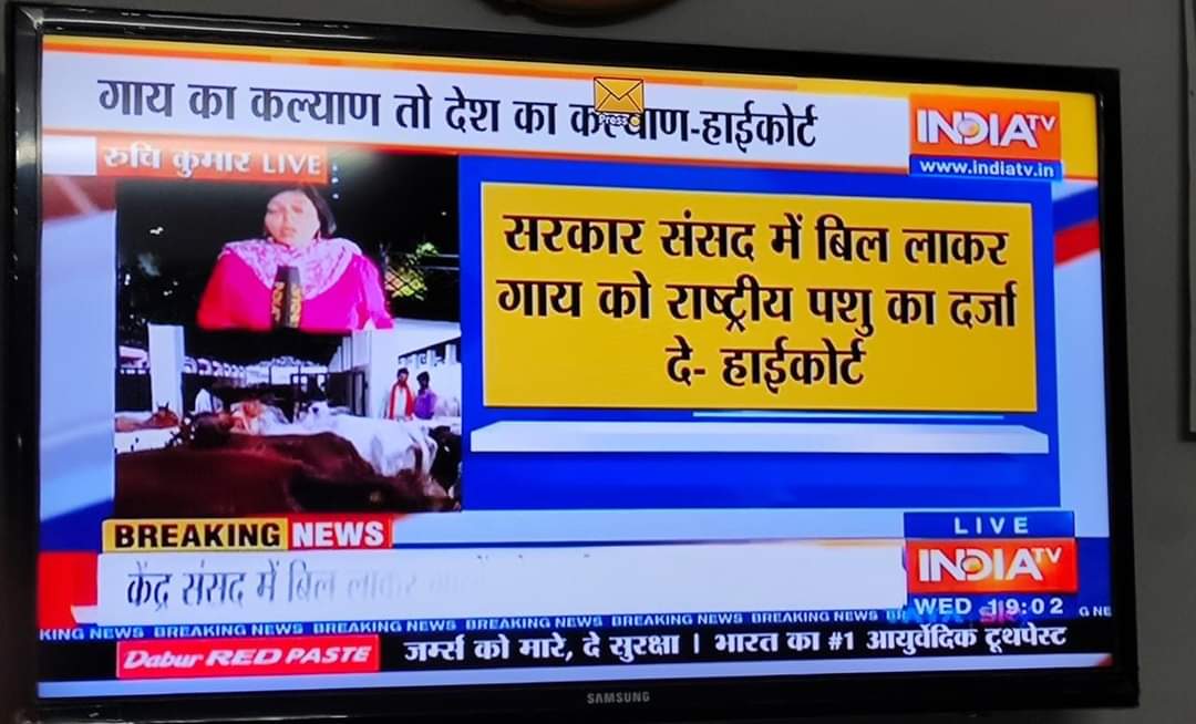 hariompandeyMP's tweet photo. हाईकोर्ट ने केंद्र सरकार को ये सुझाव दिया है कि संसद में बिल लाकर गाय को राष्ट्रीय पशु घोषित किया जाए क्योकि गाय हमारी संस्कृति का प्रतीक है।
हाईकोर्ट के इस ऐतिहासिक फैसले का हम स्वागत करते है। https://t.co/9DPXmItRv5