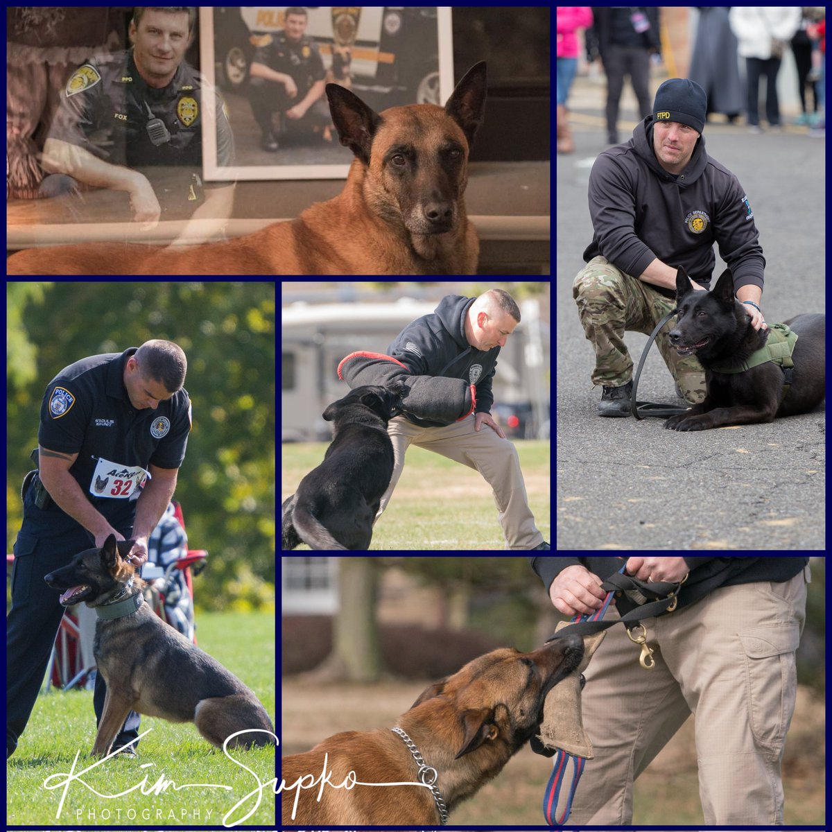 CaptureLifeMom's tweet photo. I heard today is #nationalpolicek9 day so in honor of those here are a few K9 photos.
#policedogsofinstagram #policek9 #policedogs 💙 https://t.co/mDt2xMpPUP