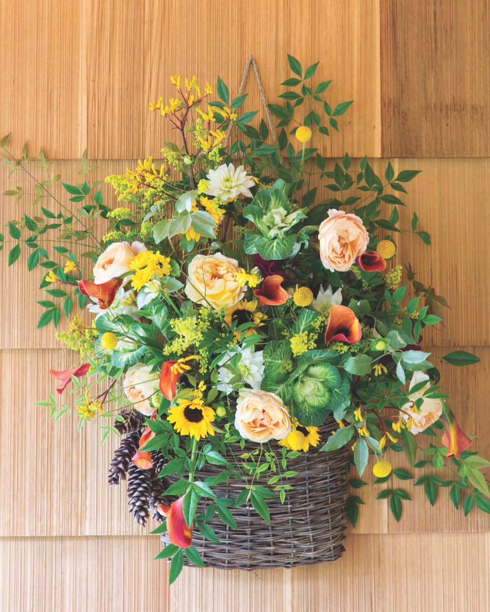 SouthernLadyMag's tweet photo. “By all these lovely tokens, September days are here. With summer’s best of weather and autumn’s best of cheer.” —Helen Hunt Jackson
#southernladymag #flowers #floralinspo #prettyflowers #sunflowers #basket #pinecones #roses #floralarrangements #september #septemberquotes https://t.co/zcTfGmuYND
