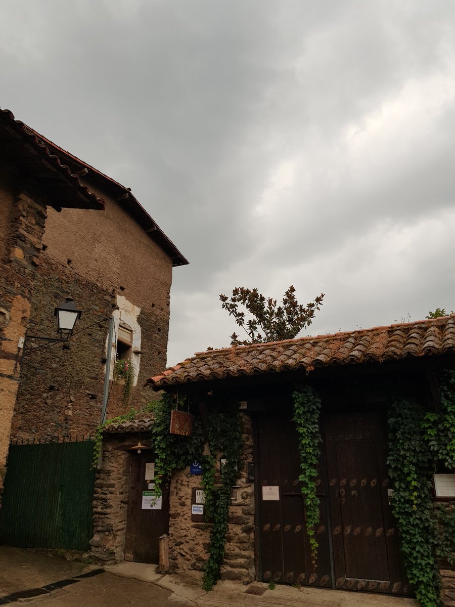 Javierfrls's tweet image. Hoy amaneció lloviendo pero se pudo tener un rato de caminata 🚶‍♂️🐕 #RobledilloDeGata #EscapadaRural