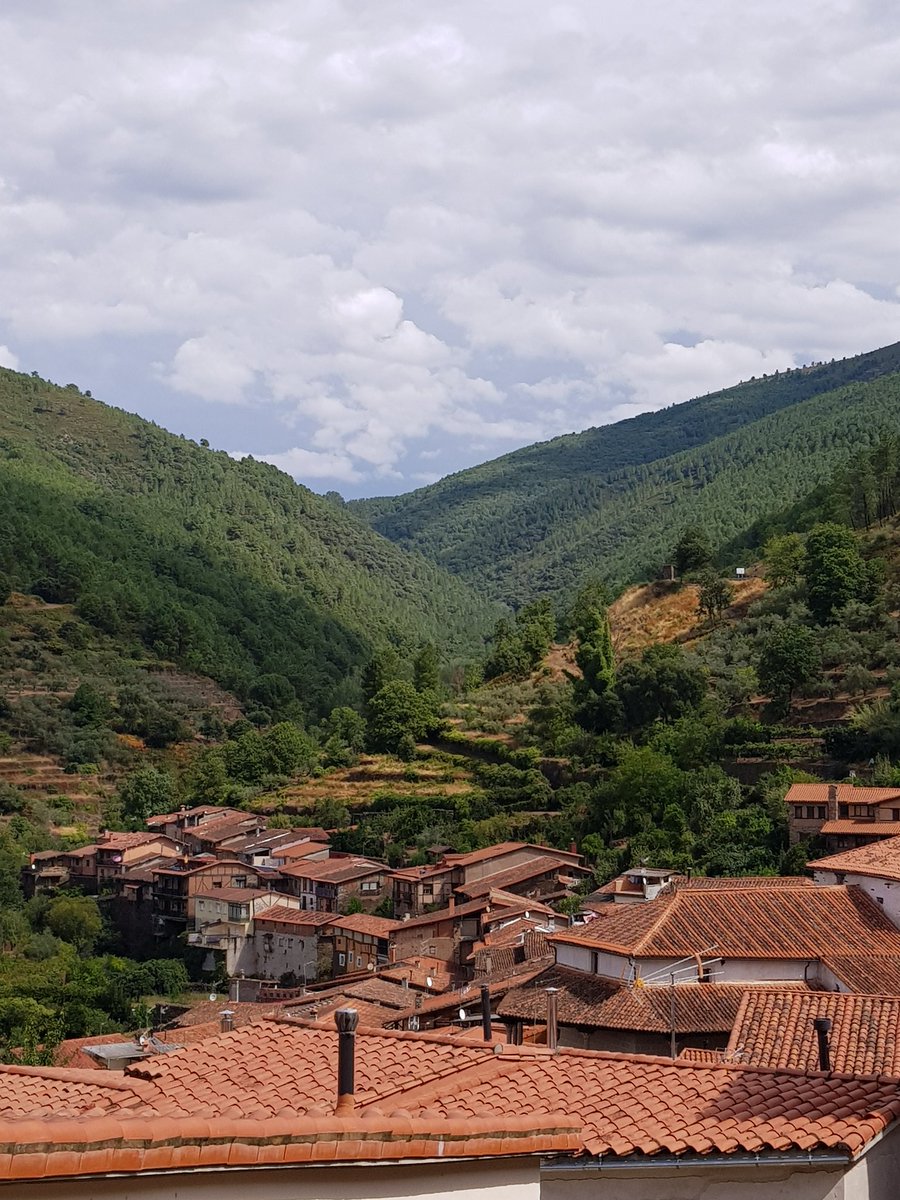 Javierfrls's tweet image. Hoy amaneció lloviendo pero se pudo tener un rato de caminata 🚶‍♂️🐕 #RobledilloDeGata #EscapadaRural