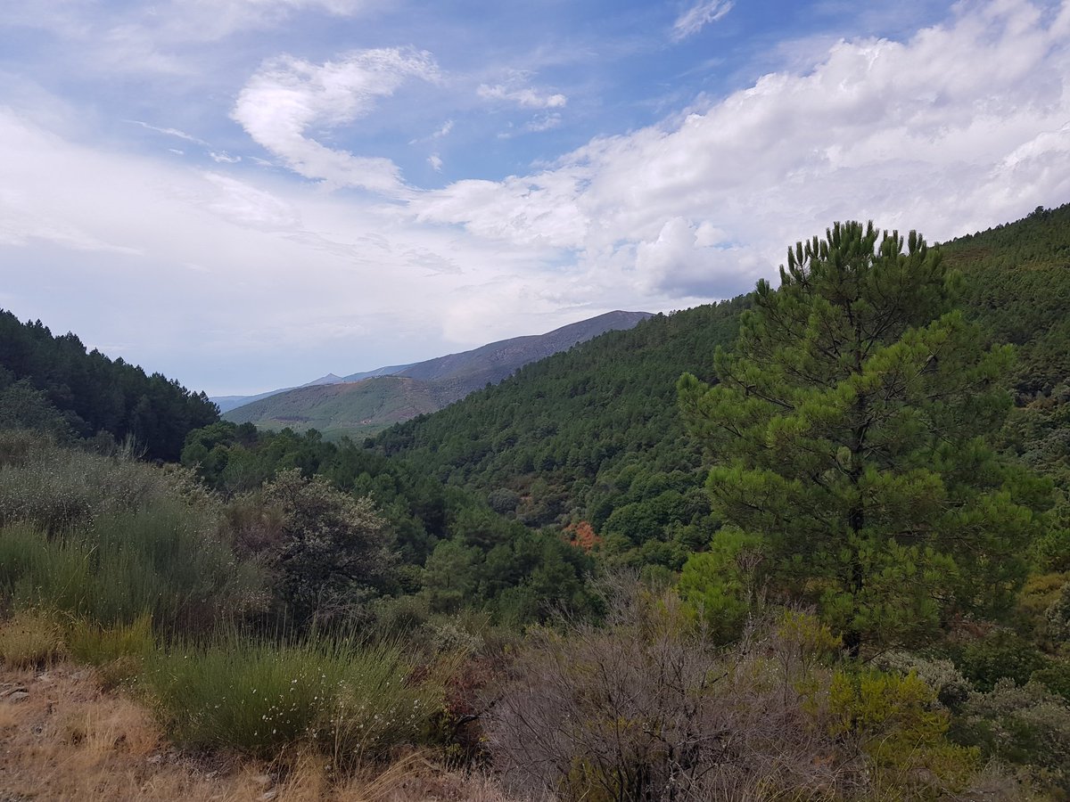 Javierfrls's tweet image. Hoy amaneció lloviendo pero se pudo tener un rato de caminata 🚶‍♂️🐕 #RobledilloDeGata #EscapadaRural