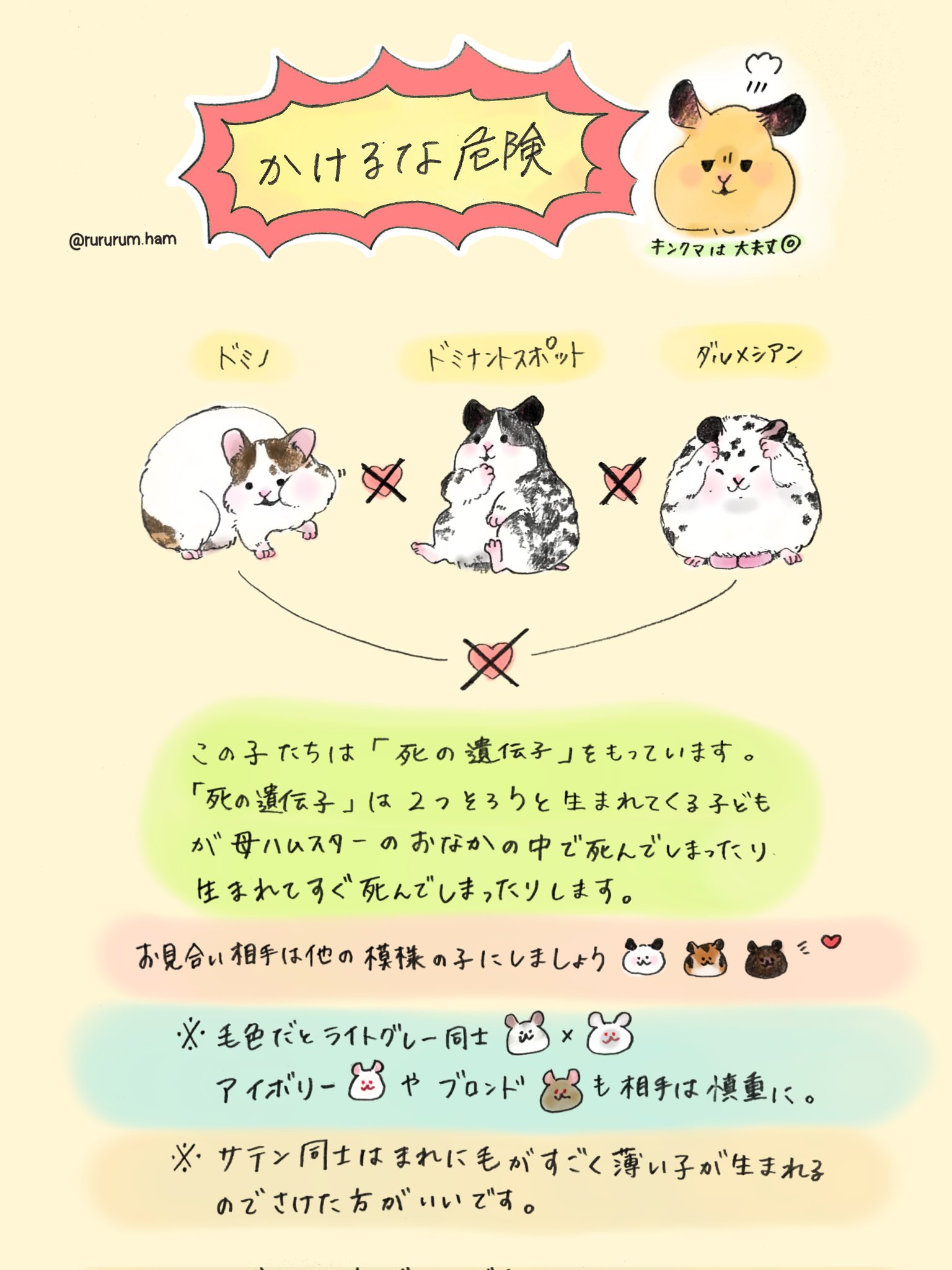 Denisse 意外と知られてないなと思って描いてみました かけてはいけない模様や毛色がある事を知ってもらいたい ハムスター好きと繋がりたい ハムスター里親募集 ゴールデンハムスター シリアンハムスター T Co Ratz3qy6kg Twitter Denisse 意外と知られてないなと思って描いてみました かけてはいけない模様や毛色がある事を知ってもらいたい ハムスター好きと繋がりたい ハムスター里親募集 ゴールデンハムスター シリアンハムスター T Co Ratz3qy6kg Twitter