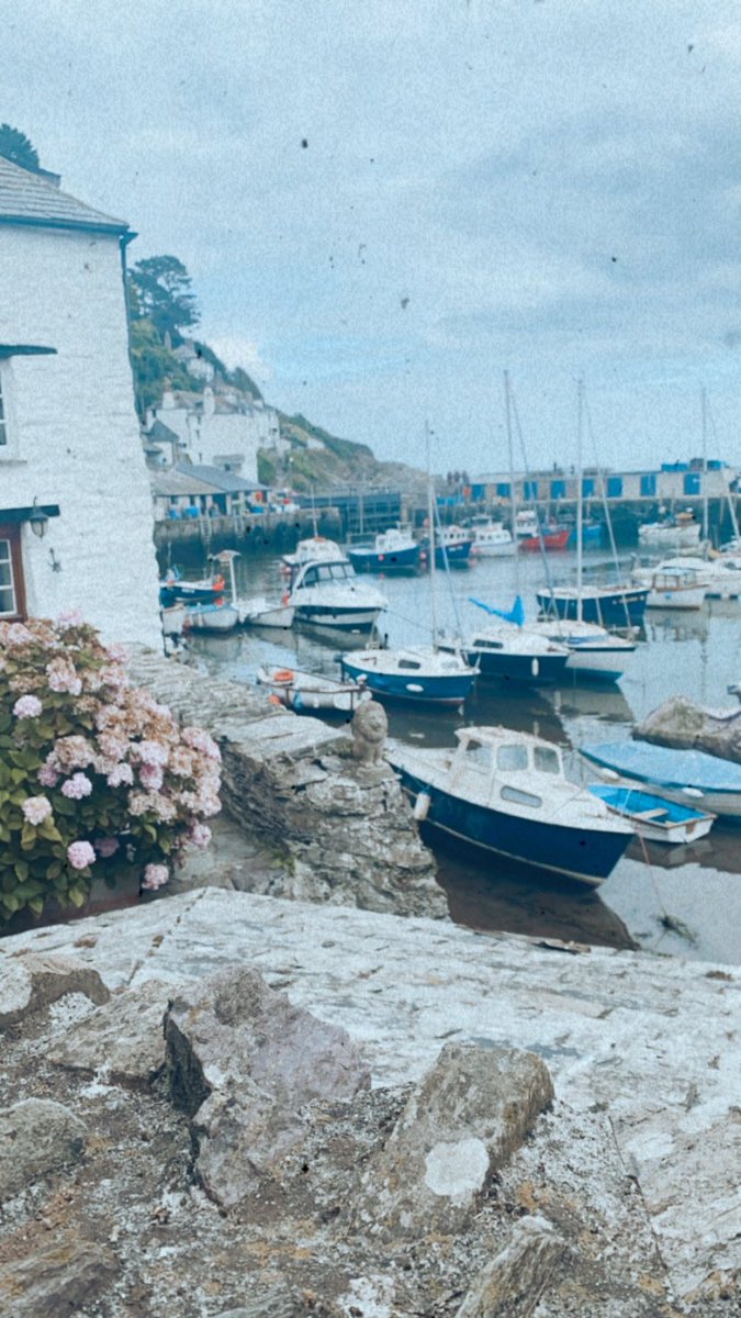 Laura Bye tweet media